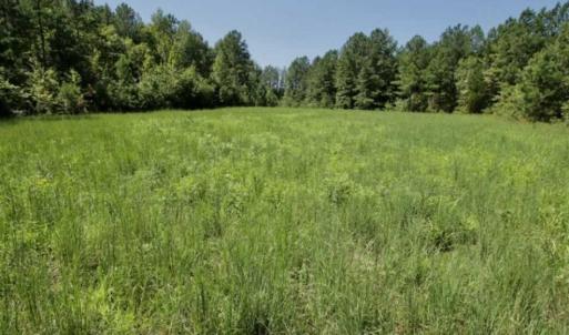 Photo of 200 Acres of Hunting Timberland and Agriculture Land For Sale with Pond in Warren County NC!