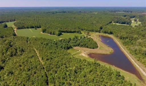 Photo of 200 Acres of Hunting Timberland and Agriculture Land For Sale with Pond in Warren County NC!