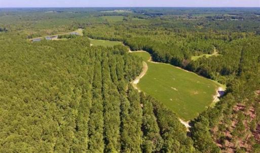 Photo of 200 Acres of Hunting Timberland and Agriculture Land For Sale with Pond in Warren County NC!