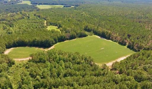 Photo of 200 Acres of Hunting Timberland and Agriculture Land For Sale with Pond in Warren County NC!