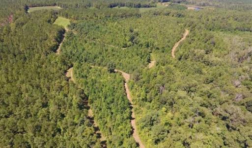 Photo of 200 Acres of Hunting Timberland and Agriculture Land For Sale with Pond in Warren County NC!