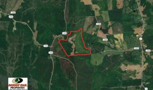 Photo of 200 Acres of Hunting Timberland and Agriculture Land For Sale with Pond in Warren County NC!