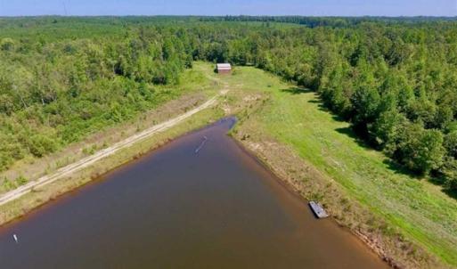 Photo of 200 Acres of Hunting Timberland and Agriculture Land For Sale with Pond in Warren County NC!