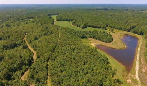 Photo of 200 Acres of Hunting Timberland and Agriculture Land For Sale with Pond in Warren County NC!