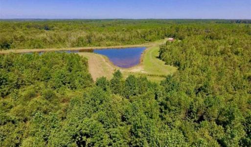 Photo of 200 Acres of Hunting Timberland and Agriculture Land For Sale with Pond in Warren County NC!