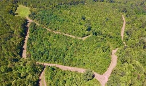 Photo of 200 Acres of Hunting Timberland and Agriculture Land For Sale with Pond in Warren County NC!