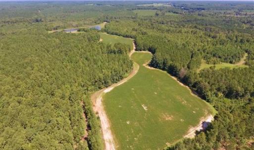 Photo of 200 Acres of Hunting Timberland and Agriculture Land For Sale with Pond in Warren County NC!