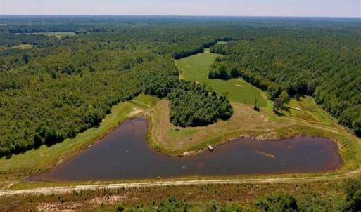 Photo of 200 Acres of Hunting Timberland and Agriculture Land For Sale with Pond in Warren County NC!
