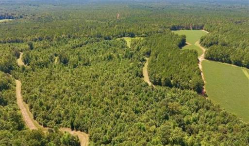 Photo of 200 Acres of Hunting Timberland and Agriculture Land For Sale with Pond in Warren County NC!
