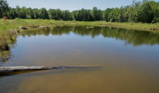 Photo of 200 Acres of Hunting Timberland and Agriculture Land For Sale with Pond in Warren County NC!