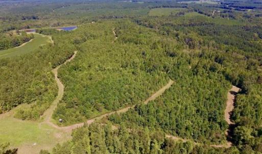 Photo of 200 Acres of Hunting Timberland and Agriculture Land For Sale with Pond in Warren County NC!