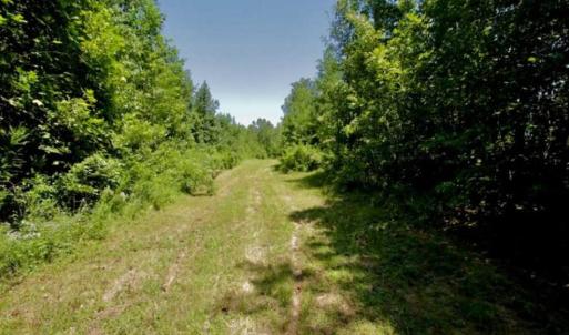 Photo of 200 Acres of Hunting Timberland and Agriculture Land For Sale with Pond in Warren County NC!