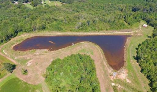 Photo of 200 Acres of Hunting Timberland and Agriculture Land For Sale with Pond in Warren County NC!