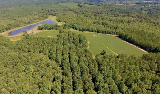 Photo of 200 Acres of Hunting Timberland and Agriculture Land For Sale with Pond in Warren County NC!