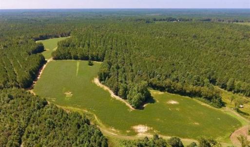 Photo of 200 Acres of Hunting Timberland and Agriculture Land For Sale with Pond in Warren County NC!