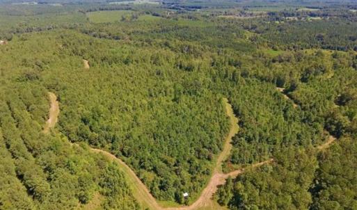 Photo of 200 Acres of Hunting Timberland and Agriculture Land For Sale with Pond in Warren County NC!