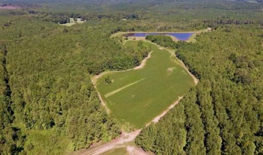 Photo of 200 Acres of Hunting Timberland and Agriculture Land For Sale with Pond in Warren County NC!