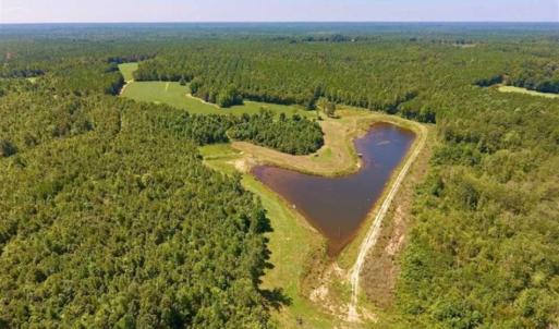 Photo of 200 Acres of Hunting Timberland and Agriculture Land For Sale with Pond in Warren County NC!
