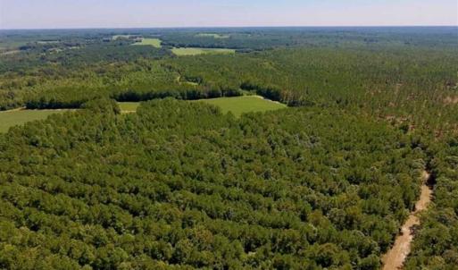 Photo of 200 Acres of Hunting Timberland and Agriculture Land For Sale with Pond in Warren County NC!