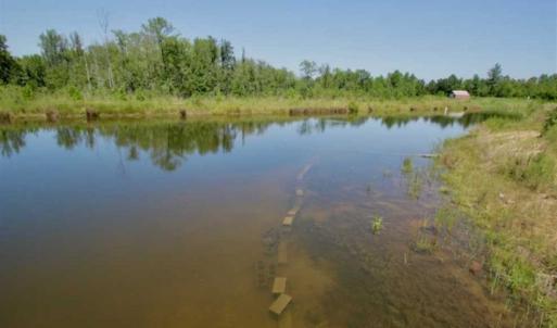 Photo of 200 Acres of Hunting Timberland and Agriculture Land For Sale with Pond in Warren County NC!