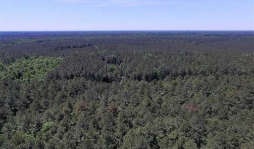 Photo of SOLD!!  5 Acres of Residential Land For Sale in Dinwiddie County VA!