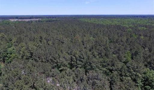 Photo of SOLD!!  5 Acres of Residential Land For Sale in Dinwiddie County VA!