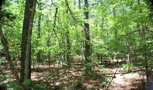 Photo of SOLD!!  5 Acres of Residential Land For Sale in Dinwiddie County VA!