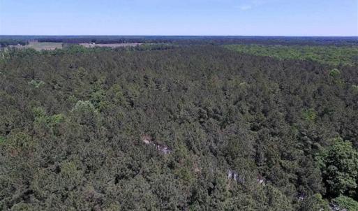 Photo of SOLD!!  5 Acres of Residential Land For Sale in Dinwiddie County VA!