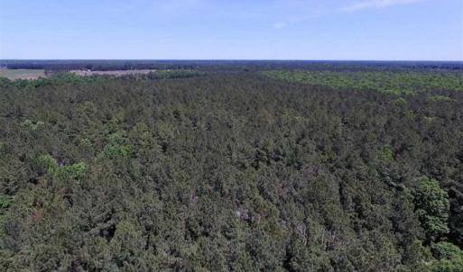Photo of SOLD!!  5 Acres of Residential Land For Sale in Dinwiddie County VA!