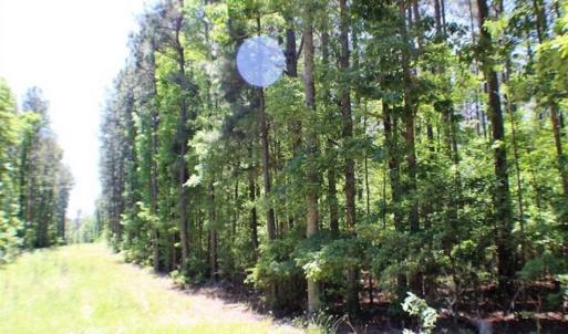 Photo of SOLD!!  5 Acres of Residential Land For Sale in Dinwiddie County VA!