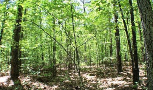Photo of SOLD!!  5 Acres of Residential Land For Sale in Dinwiddie County VA!