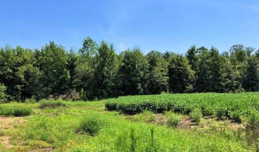 Photo of SOLD!!  21.98 Acres of Farming Hunting and Residential Land for Sale in Halifax County NC!