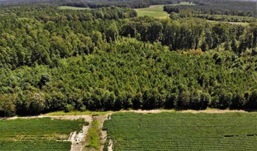 Photo of SOLD!!  21.98 Acres of Farming Hunting and Residential Land for Sale in Halifax County NC!