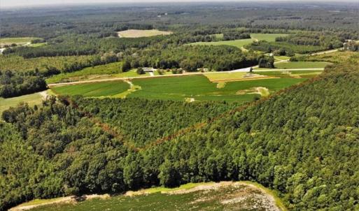 Photo of SOLD!!  21.98 Acres of Farming Hunting and Residential Land for Sale in Halifax County NC!