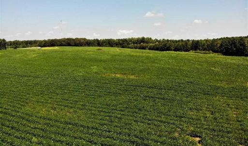 Photo of SOLD!!  21.98 Acres of Farming Hunting and Residential Land for Sale in Halifax County NC!