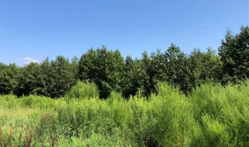 Photo of SOLD!!  21.98 Acres of Farming Hunting and Residential Land for Sale in Halifax County NC!