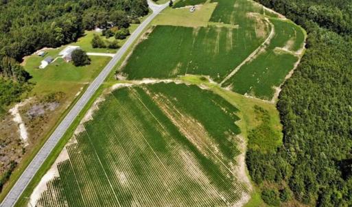 Photo of SOLD!!  21.98 Acres of Farming Hunting and Residential Land for Sale in Halifax County NC!