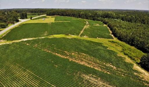 Photo of SOLD!!  21.98 Acres of Farming Hunting and Residential Land for Sale in Halifax County NC!