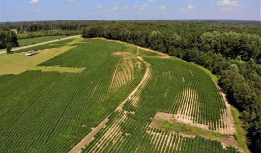 Photo of SOLD!!  21.98 Acres of Farming Hunting and Residential Land for Sale in Halifax County NC!