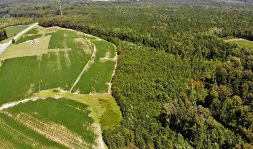 Photo of SOLD!!  21.98 Acres of Farming Hunting and Residential Land for Sale in Halifax County NC!