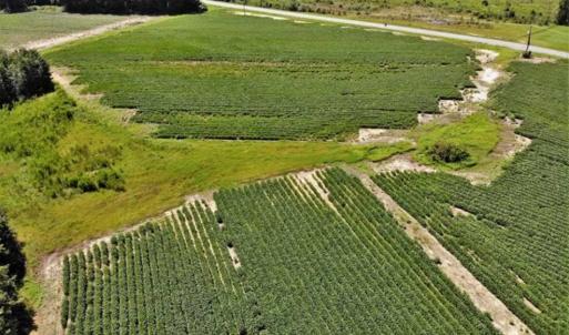 Photo of SOLD!!  21.98 Acres of Farming Hunting and Residential Land for Sale in Halifax County NC!