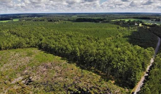 Photo of 10 acres of Timber and Residential Land for Sale in Suffolk County VA!