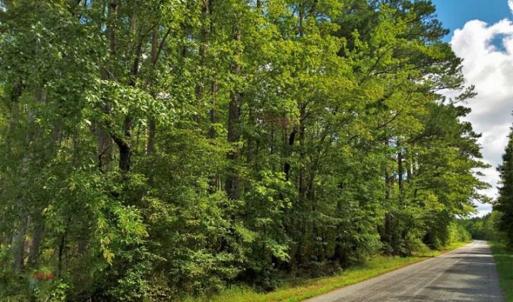 Photo of 10 acres of Timber and Residential Land for Sale in Suffolk County VA!