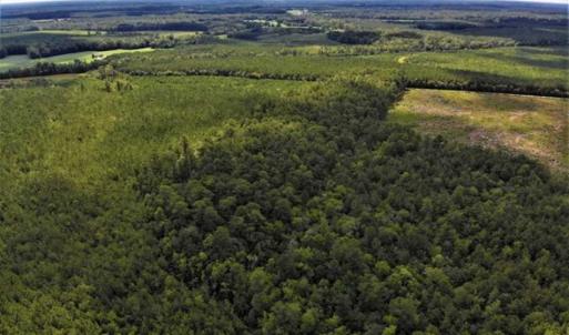 Photo of 10 acres of Timber and Residential Land for Sale in Suffolk County VA!