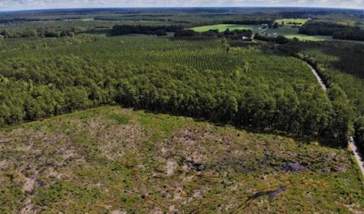 Photo of 10 acres of Timber and Residential Land for Sale in Suffolk County VA!