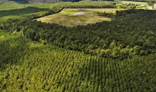 Photo of 10 acres of Timber and Residential Land for Sale in Suffolk County VA!