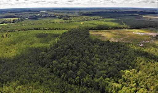 Photo of 10 acres of Timber and Residential Land for Sale in Suffolk County VA!