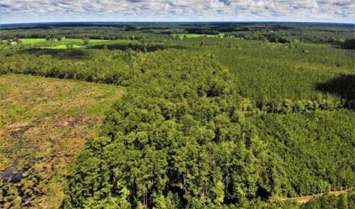 Photo of 10 acres of Timber and Residential Land for Sale in Suffolk County VA!