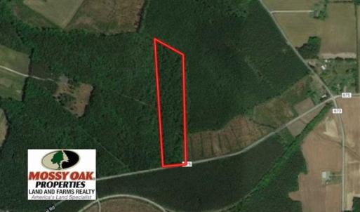 Photo of 10 acres of Timber and Residential Land for Sale in Suffolk County VA!