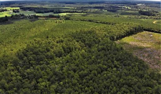 Photo of 10 acres of Timber and Residential Land for Sale in Suffolk County VA!